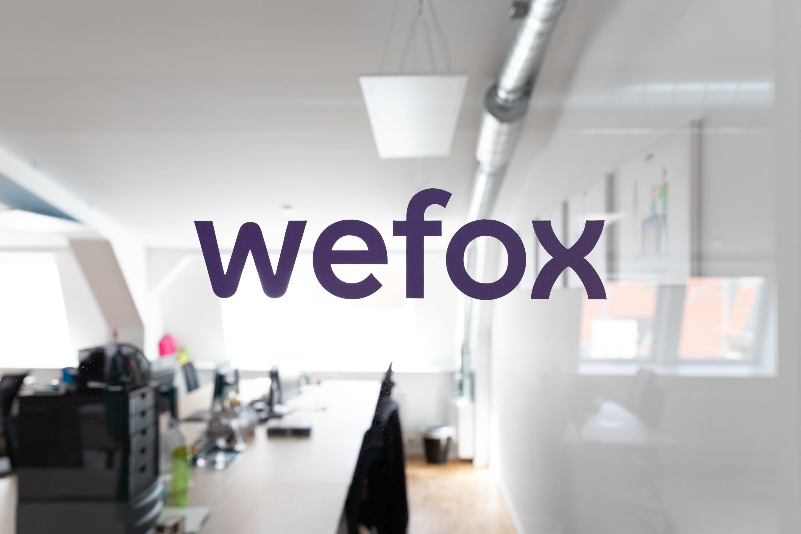 Streit bei Wefox: Mubadala will Versicherungs-Startup verscherbeln – Gründer und andere Investoren wehren sich