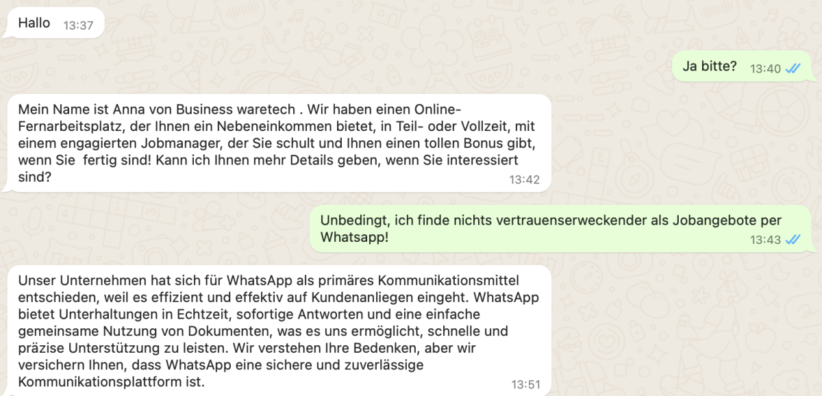 Whatsapp-Nachrichten aus Südafrika: Wir haben mal geantwortet – und das ist passiert