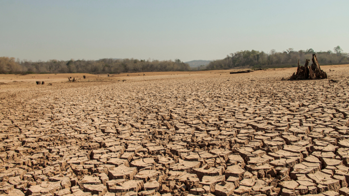 Klimawandel und die Hitze: Wo es zu heiß zum Überleben wird